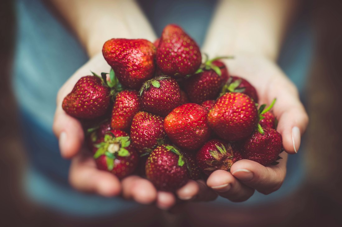Hands full of fresh strawberries